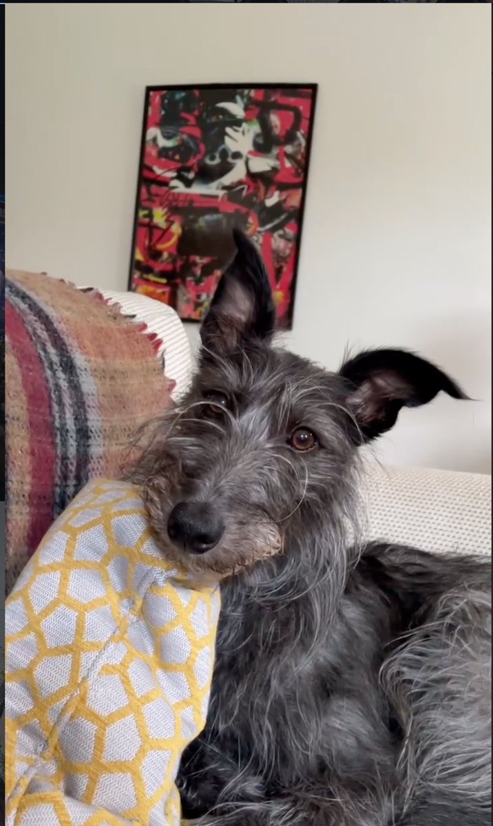 Gary